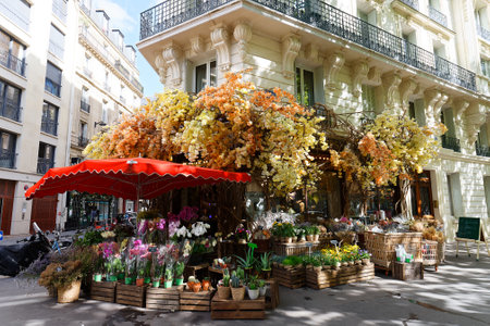 Deschamps Paris is a top wedding florist, based in France.のeditorial素材