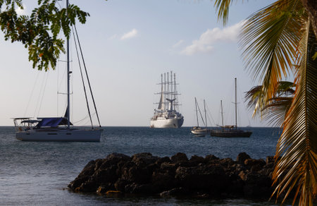 yachts at anchorage, caribbean sea, turquoise water, snow-white yachts in Martinique