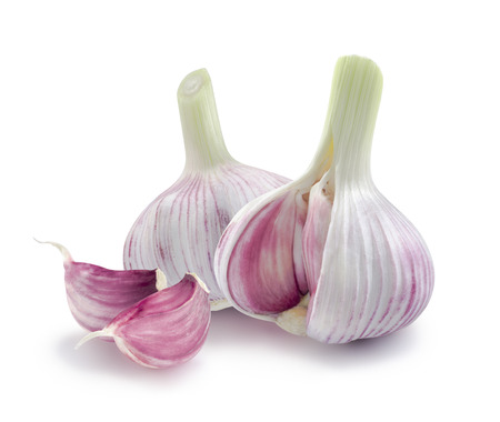 Two young garlic heads and cloves isolated on white の写真素材