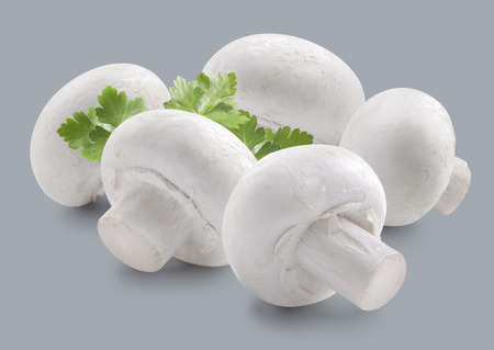 Mushroom champignon group and parsley isolatedの写真素材
