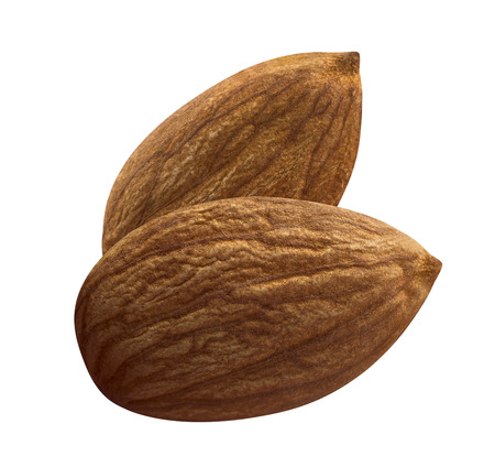 Two almond nuts isolated on white の写真素材