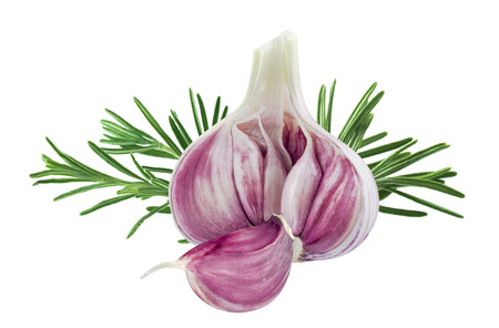 Young garlic head and rosemary isolated on white background as package design elementsの写真素材