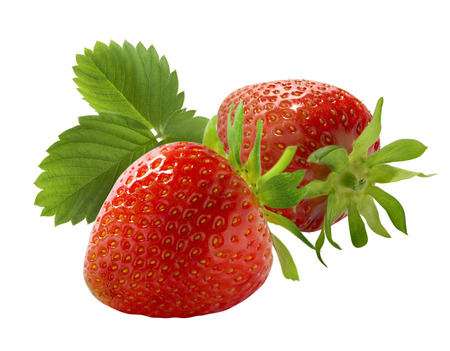 Two fresh strawberry and leaves isolated on white background as package design elementsの写真素材