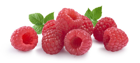 Raspberry horizontal set with leaves isolated on white as package design elementsの写真素材