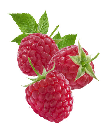 Three raspberries and leaves vertical composition isolated on white background as package design elementsの写真素材