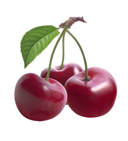 Three sweet cherries and leaf isolated on white background as package design elementsの写真素材