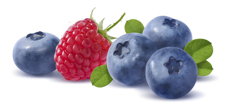 Blueberry and raspberry horizontal compositon isolated on white background as package design elementの写真素材