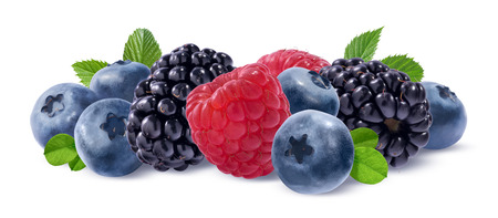 Rich forest berries composition isolated on white background as package design elementの写真素材