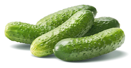 Big cucumber group isolated on white background as package design elementの写真素材
