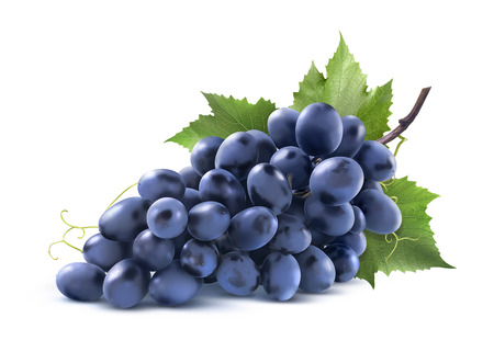 Bunch of blue grapes with leaf isolated on white background as package design elementの写真素材