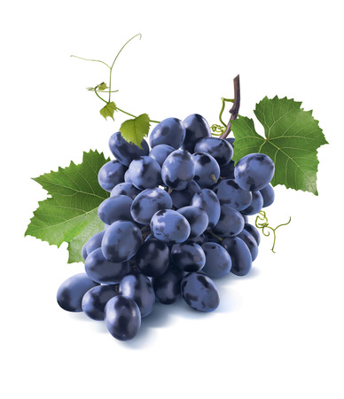 Tiny dry blue grapes bunch leaves isolated on white background as package design elementの写真素材