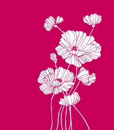 Contour field poppies on red burgundy background illustrationのイラスト素材