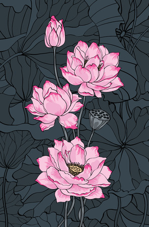 Pink lotus and leaves on dark background illustration for decoration purposesのイラスト素材