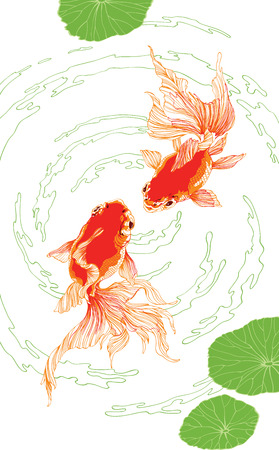 Two chinese red golden fish on white background vector vertical for decorationのイラスト素材