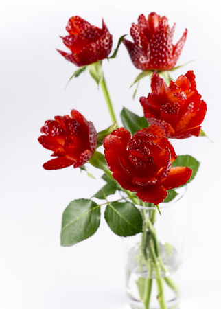 Strawberry flowers on white background isolatedの写真素材