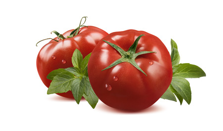 Whole tomatoes in water drops and basil isolated on white background as package design elementの写真素材