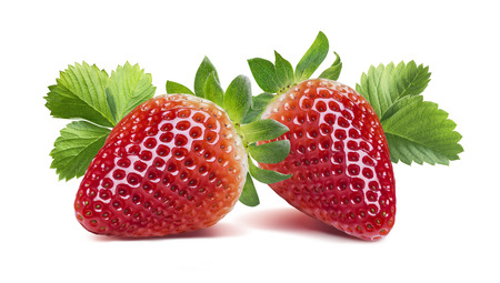 Two strawberries with many leaves isolated on white background as package design elementの写真素材