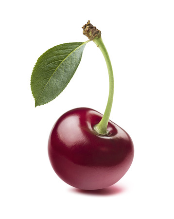 Single wild cherry isolated on white background as package design elementの写真素材