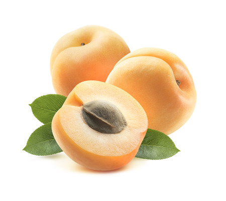 Two whole apricots and half with seed 2 isolated on white background as package design elementの写真素材