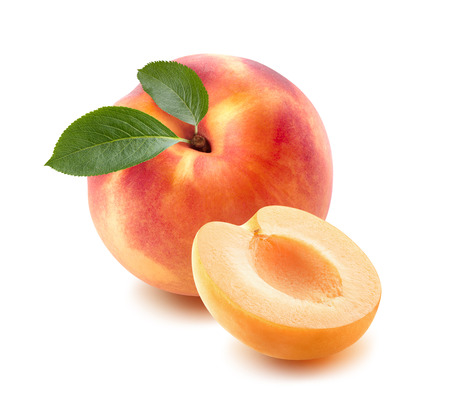 Single peach, apricot half isolated on white background as package design elementの写真素材