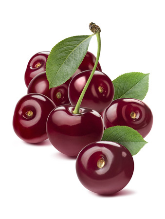 Wild cherry group rich isolated on white background as package design elementの写真素材