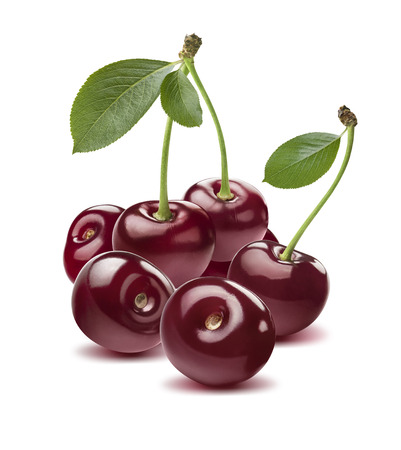 Wild cherry group round isolated on white background as package design elementの写真素材