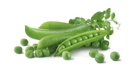Green pea pods 2 and leaves horizontal isolated on white background as package design elementの写真素材
