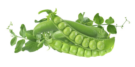 Green pea pods and leaves horizontal isolated on white background as package design elementの写真素材