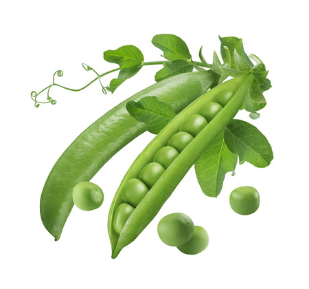 Green peas pods open and closed isolated 5 on white background as package design elementsの写真素材