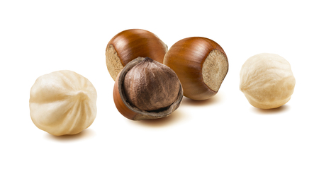 Hazelnut nut group 2 peeled off isolated on white background as package design elementの写真素材