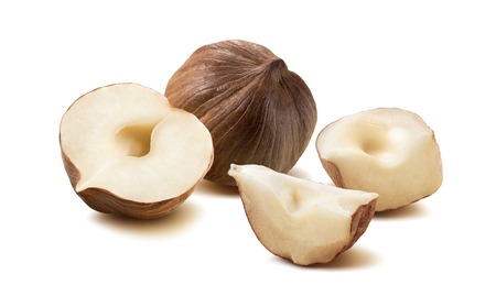 Hazelnut nut group  pieces isolated on white background as package and poster design elementの写真素材