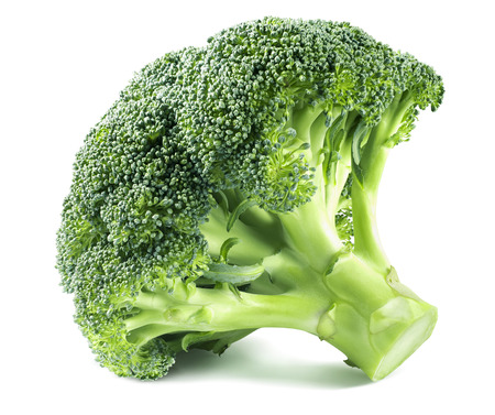 Broccoli cabbage side isolated on white background as package design elementの写真素材