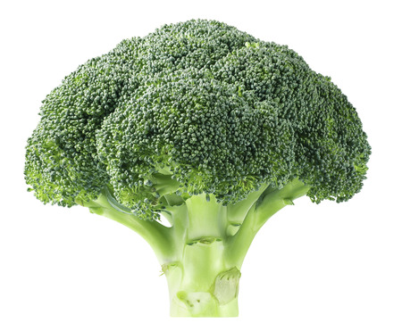 Broccoli big cabbage isolated on white background as package design elementの写真素材