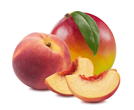 Mango leaf peach slices 12 isolated on white background as package design elementの写真素材