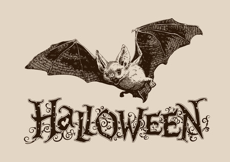 Vintage halloween celebration graphics flying bat horizontal for poster, banner, header, mail, invitationのイラスト素材
