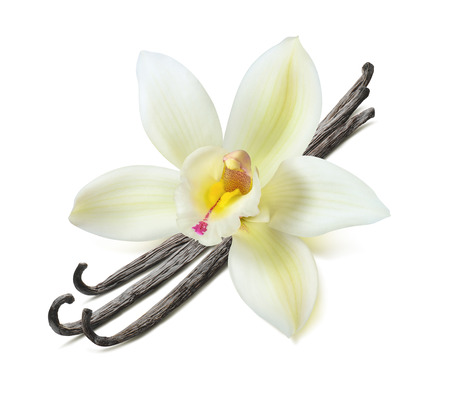 バニラビーンズの写真 イラスト素材一覧 10 217件 ストックフォトのamanaimages Plus