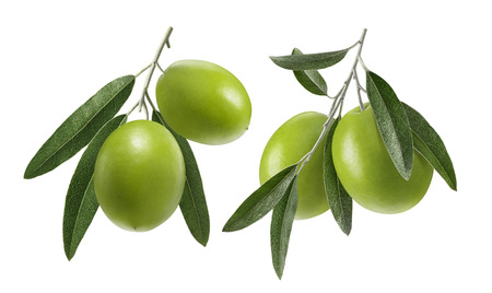 Green olive double set isolated on white background as package design elementsの写真素材