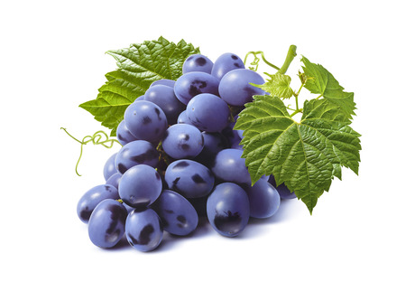 Horizontal bunch of blue grapes isolated on white background as package design elementの写真素材
