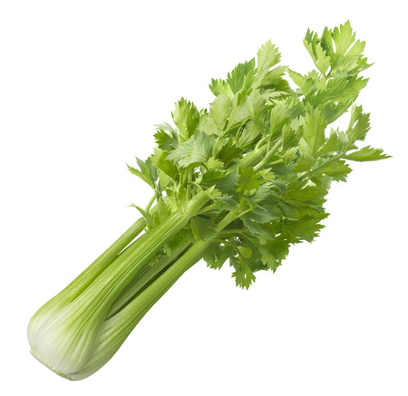 Green celery isolated on white background.