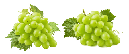Bunches of green grapes with leaves isolated on whiteの写真素材