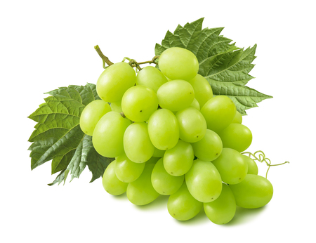 Green grapes with leaves isolated on whiteの写真素材