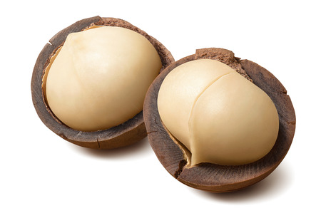 Double whole macadamia nuts isolated on whiteの写真素材