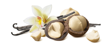 Vanilla beans and macadamia nuts isolated on whiteの写真素材
