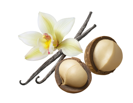 Vanilla flower and beans, macadamia nuts isolated on whiteの写真素材