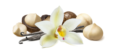 Vanilla flower and pods with macadamia nuts isolated on whiteの写真素材