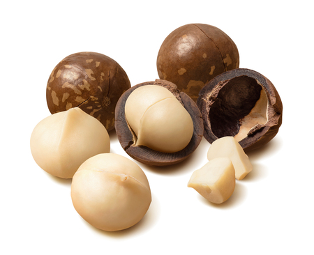 Big group of whole and peeled macadamia nuts isolated on whiteの写真素材