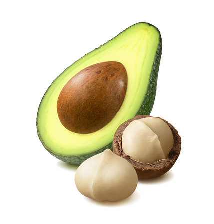 Avocado and peeled macadamia nut isolated on whiteの写真素材