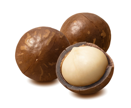Whole macadamia nuts isolated on whiteの写真素材