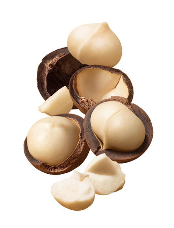 Big pile of macadamia nuts isolated on whiteの写真素材