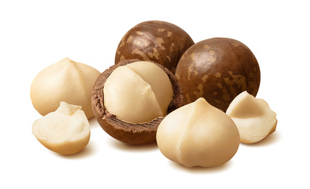 Peeled macadamia nuts. Horizontal composition isolated on whiteの写真素材